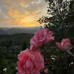 Casa Do Beija