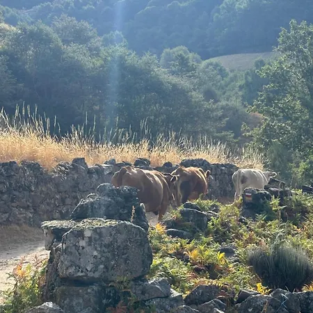 Casa Do Beija Outeiro (Tras-Os-Montes)