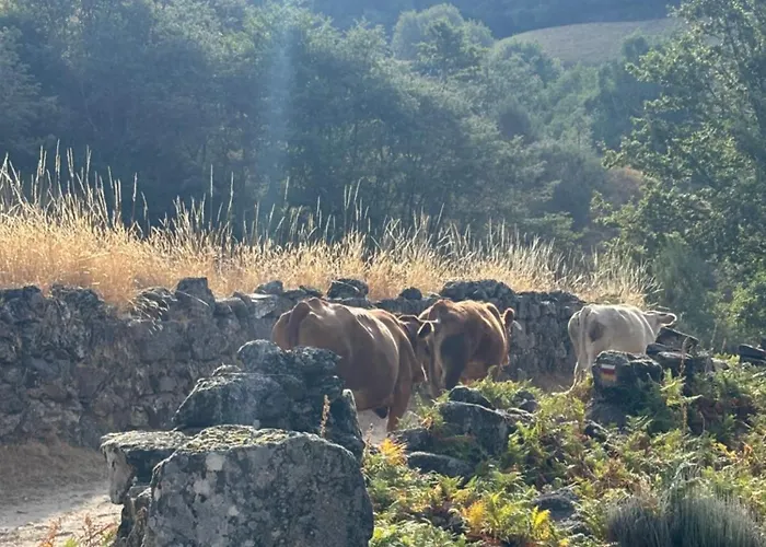 Casa Do Beija Outeiro
