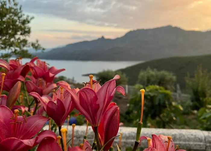 Casa Do Beija * Outeiro (Tras-Os-Montes)