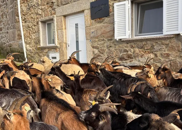 Σπίτι διακοπών Casa Do Beija *