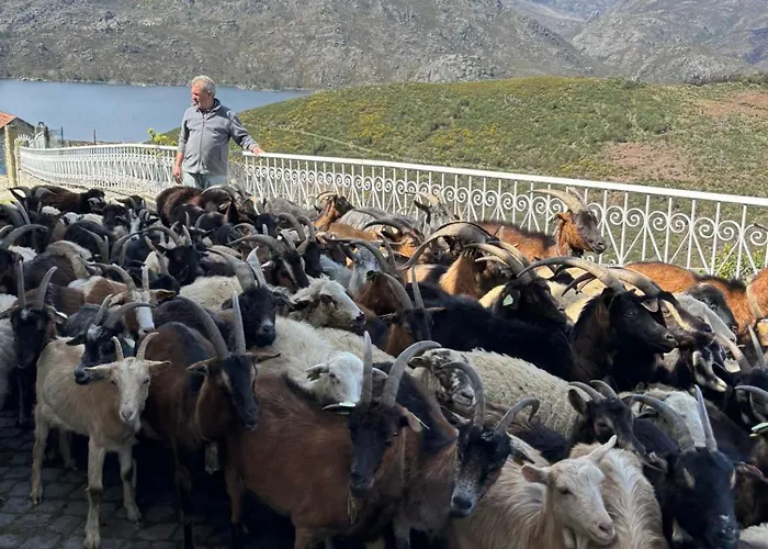 Casa Do Beija Outeiro